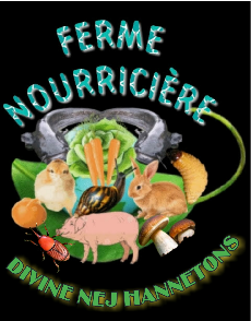 DIVINE NEJ HANNETONS